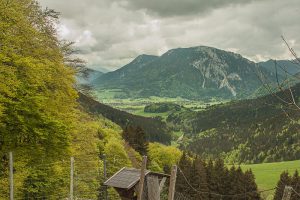 Blick von der Steinbergalm in den Chiemgau